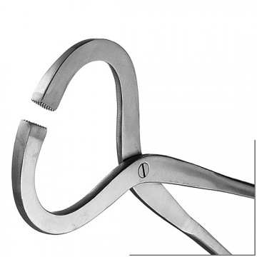 Stainless Steel Hoof Tester